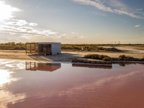 CABANE DU SAUNIER - CASSIOPEE - ETANG DU ROY